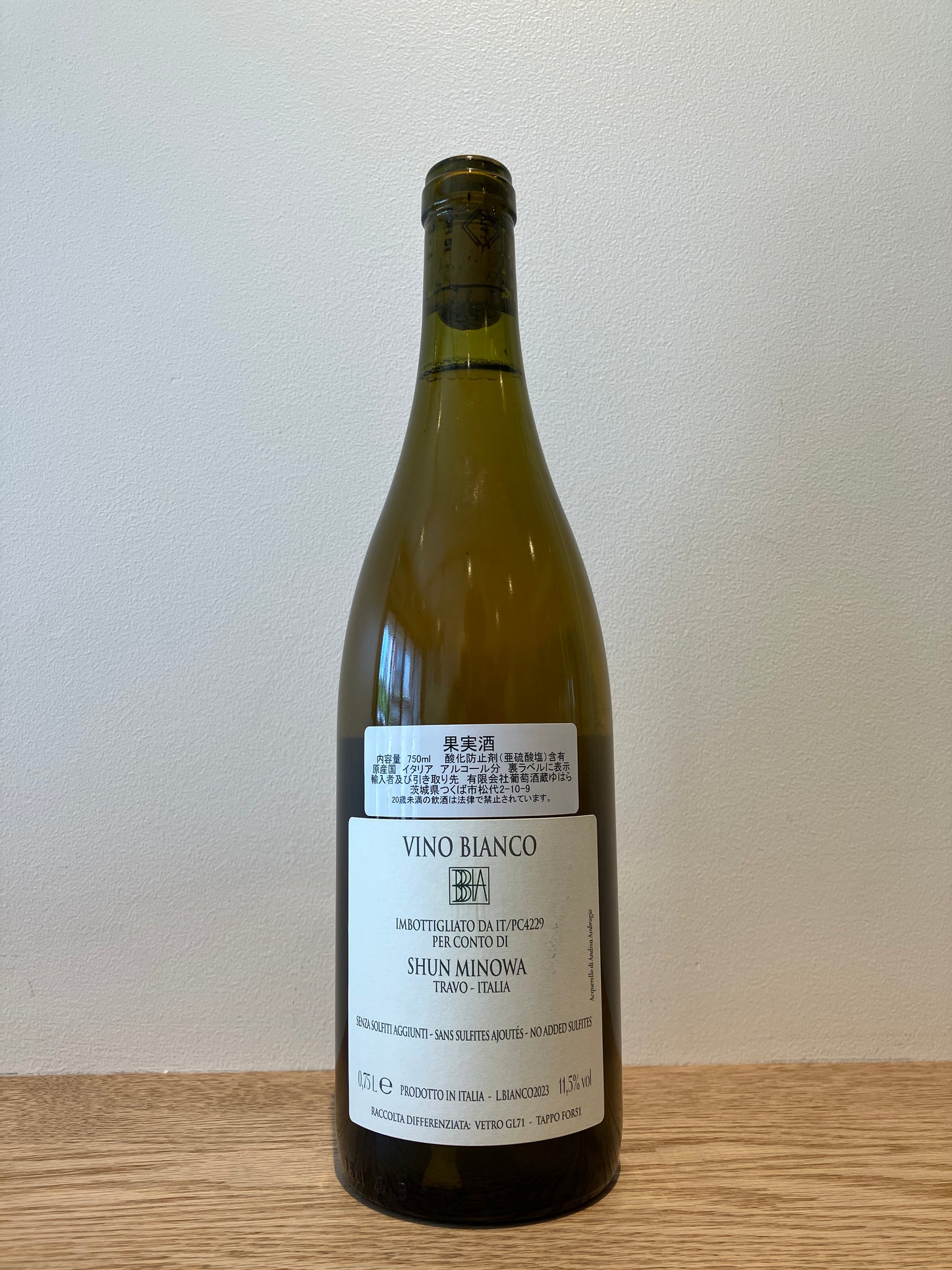 Shun Minowa 3 Bbbia 2023 / シュン・ミノワ トレッビア