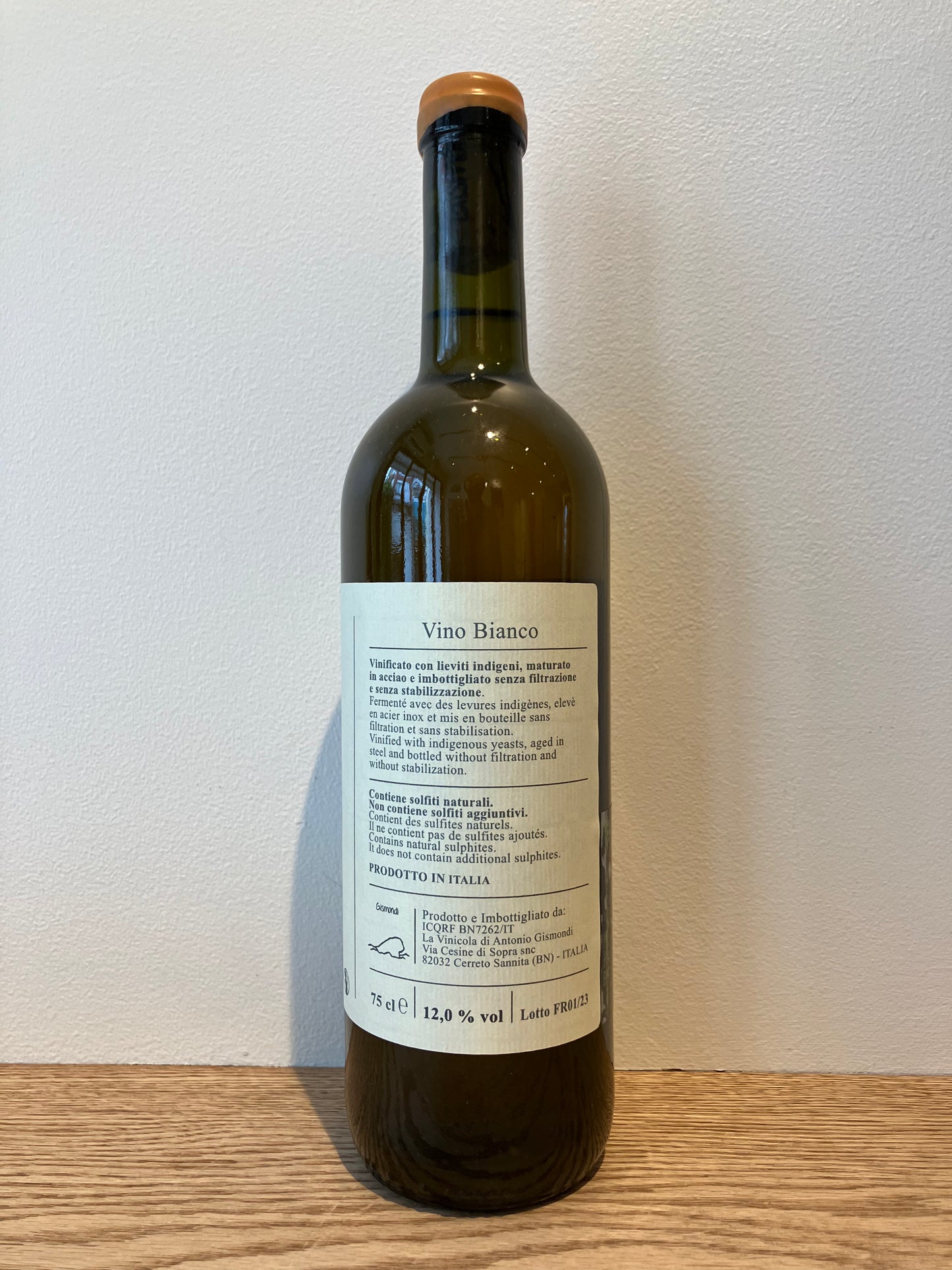 Antonio Gismondi Foresta 2023 / アントニオ・ジスモンディ フォレスタ