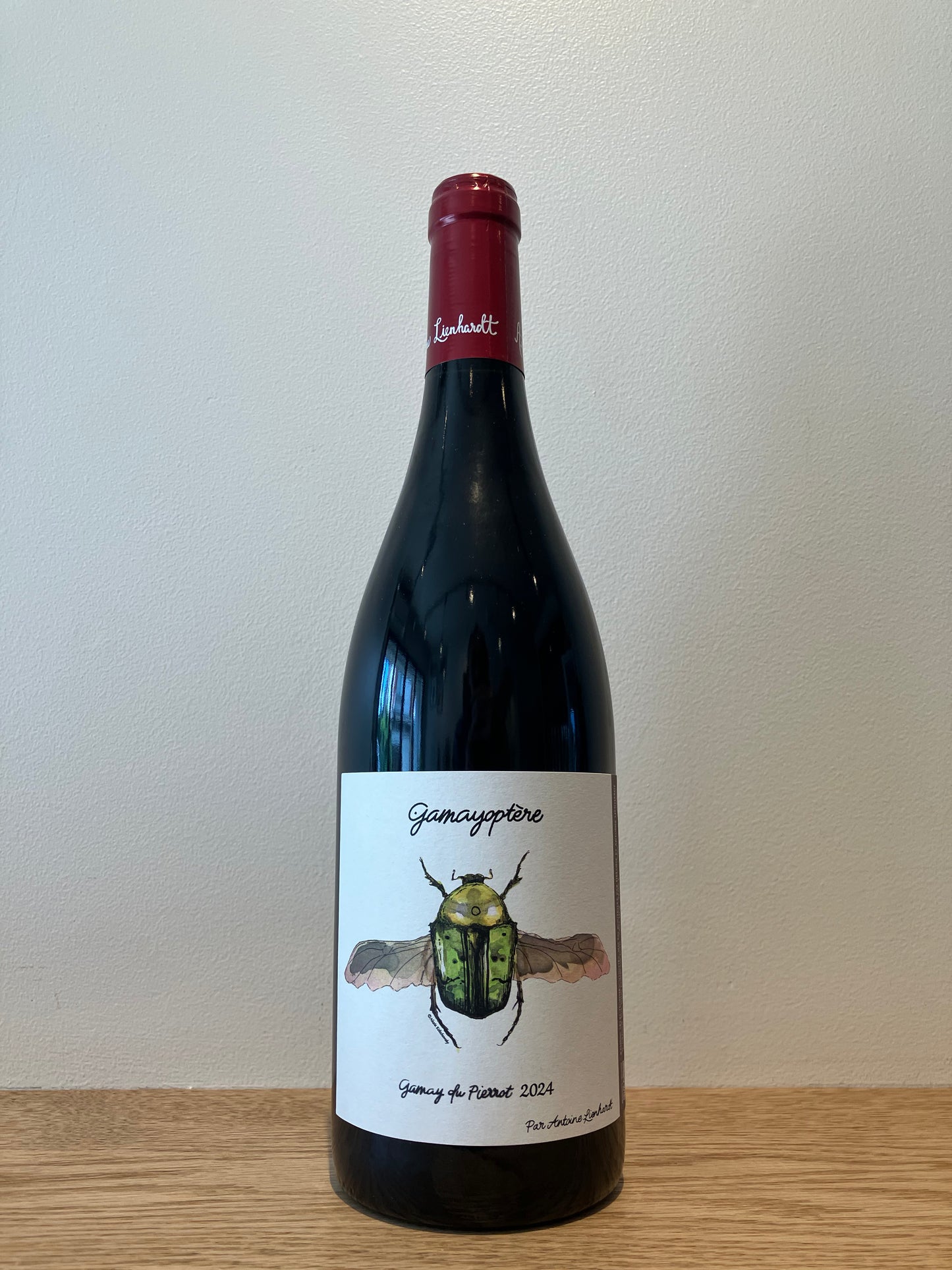 Antoine Lienhardt Coteaux Bourguignon Gamayoptère 2024 / アントワーヌ・リエナルト コトー・ブルギニョン ガメオプテール