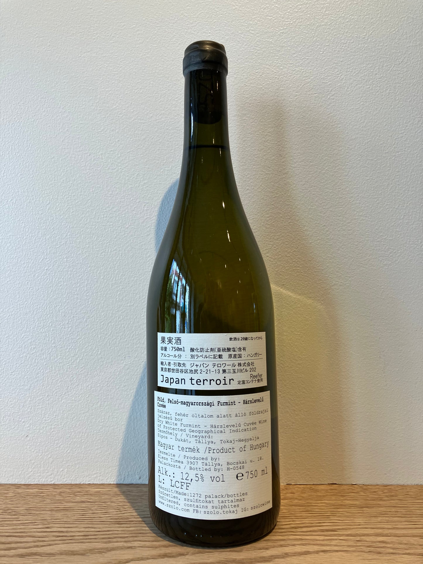 SZÓLÓ Fold 2019&2021 / ソロ フォルド