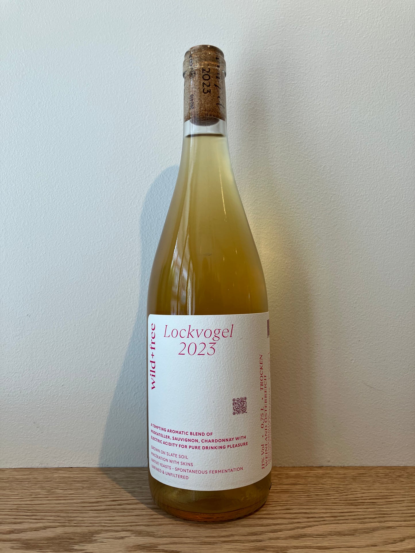 Wenzel Lockvogel 2023 / ヴェンツェル ロックフォーゲル