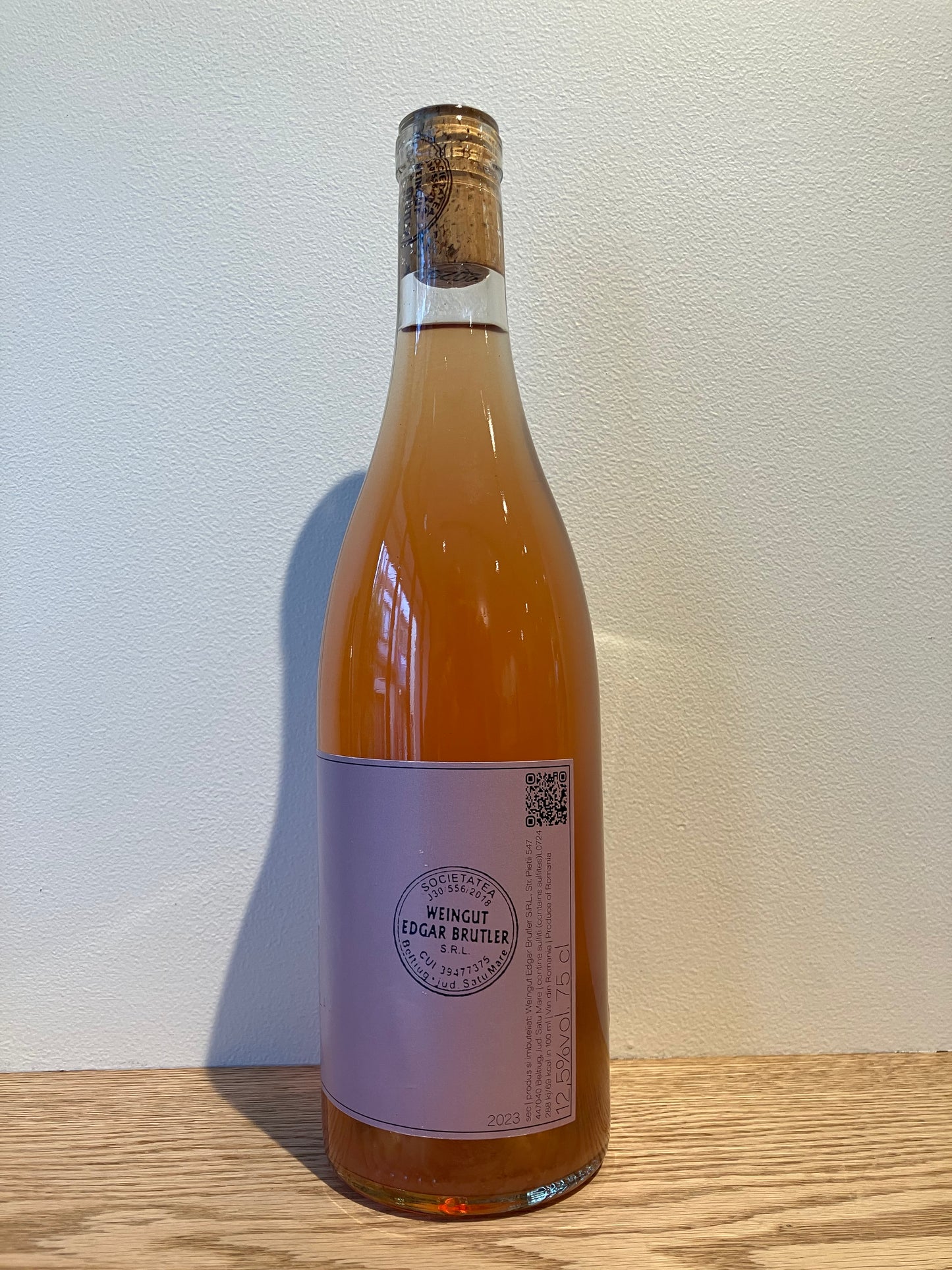 Edgar Brutler Gisela 2023 / エドガー・ブルトラー ギセラ