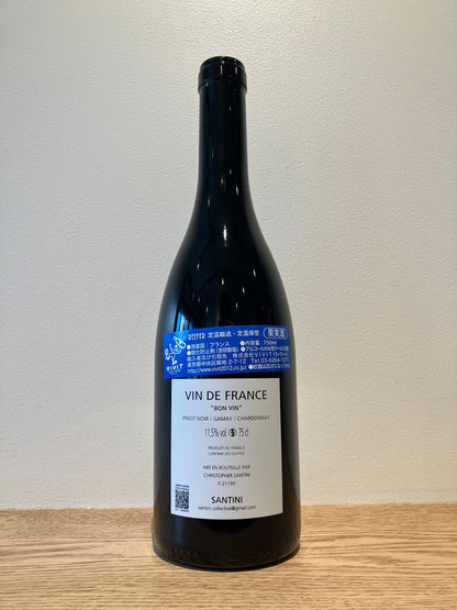 Santini Bon Vin 2024 / サンティニ ボン・ヴァン