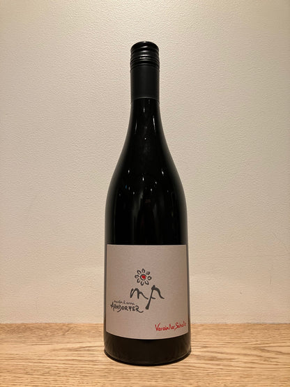 Martin & Anna Arndorfer Vereinter Schatz Rot 2024 / マーティン & アンナ アンドルファー フェラインター・シャッツ・ロート