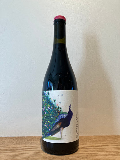 Martissima Schioppettino Tin Tinut 2022 / マルティッシマ スキオペッティーノ・ティン・ティヌット