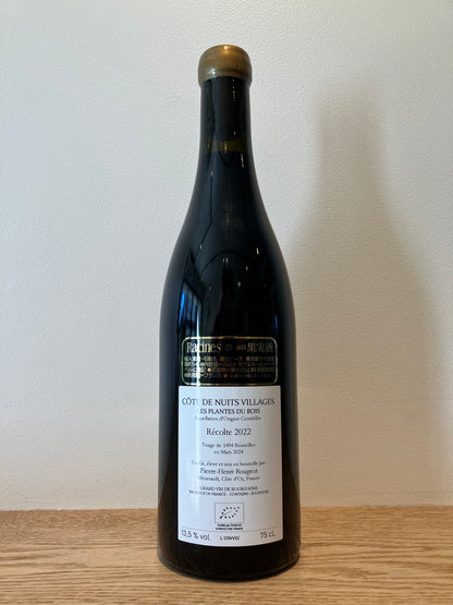Pierre Henri Rougeot Côte de Nuits Villages Les Plantes du Bois 2022 / ピエール・アンリ・ルージョ コート・ド・ニュイ・ヴィラージュ レ・プラント・デュ・ボワ