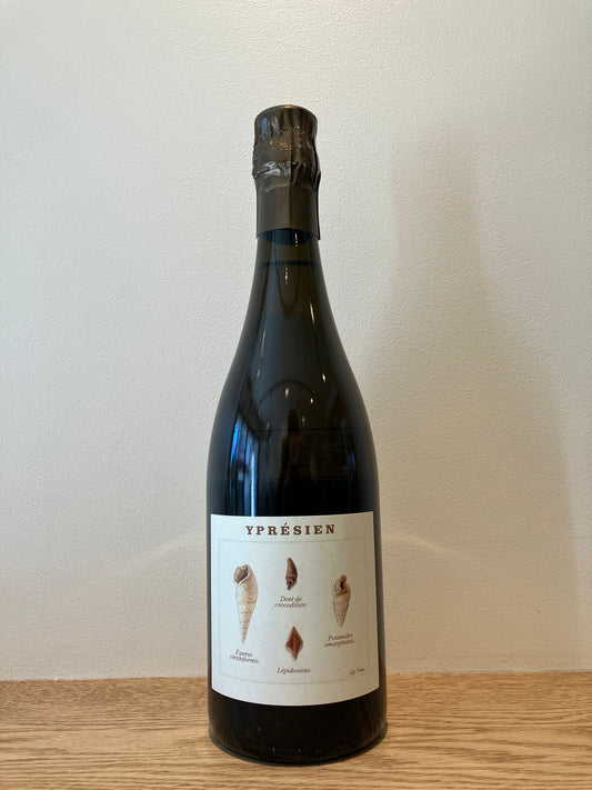 Legrand Latour / ルグラン・ラトゥール – ゆきおとワインショップ Legrand Latour / ルグラン・ラトゥール – ゆきおとワインショップ