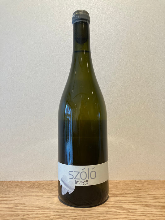 SZÓLÓ Levego 2022 / ソロ レヴェゴ