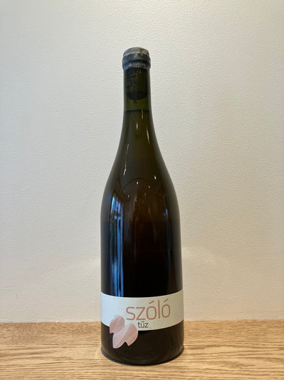 SZÓLÓ Taz 2022 / ソロ トゥズ