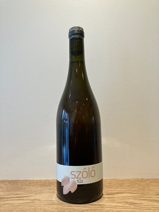 SZÓLÓ Taz 2022 / ソロ トゥズ