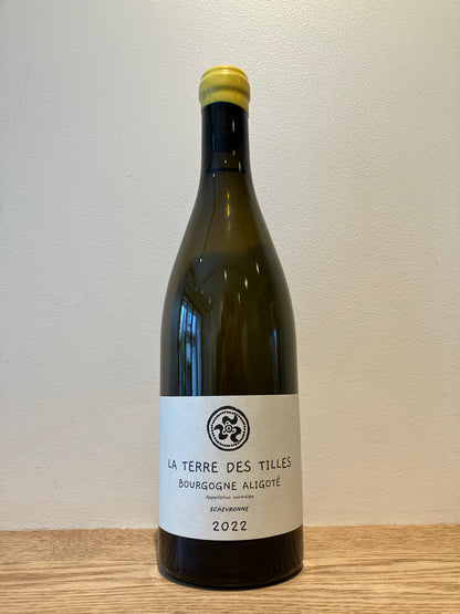 La Terre des Tilles Bourgogne Aligote Echevronne 2022 / ラ・テール・デ・ティーユ ブルゴーニュ・アリゴテ・エシュヴロン