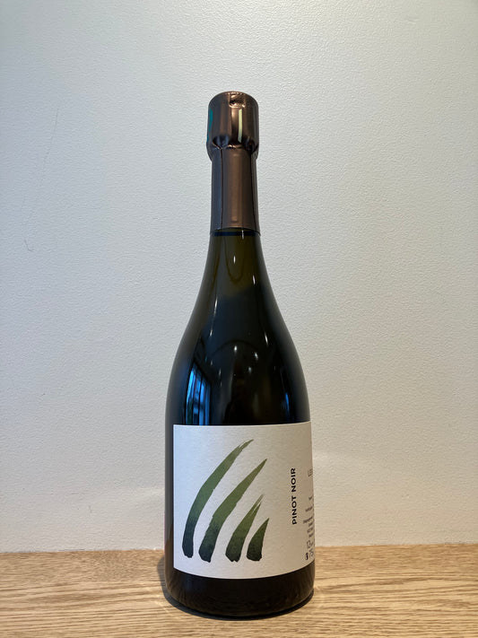 【購入条件付き】INSU Les Hautes Maladries 2021 / アンス レ・ゾート・マラドリ