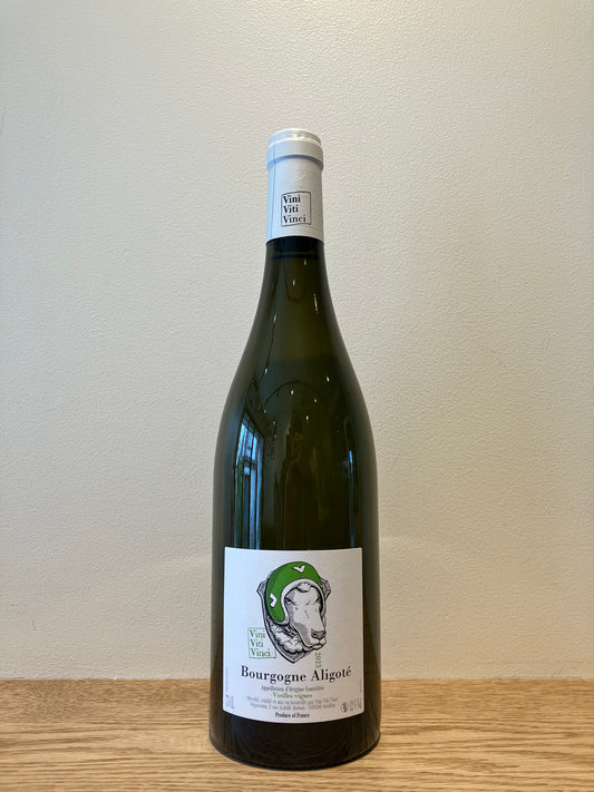 Vini Viti Vinci Bourgogne Aligoté 2023 / ヴィニ・ヴィティ・ヴィンチ ブルゴーニュ・アリゴテ