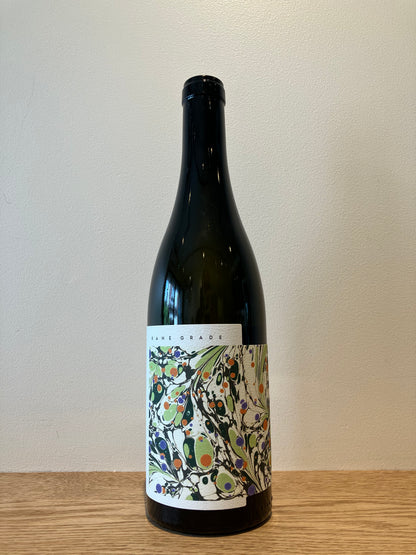 von der Vogelwaide Kane Grade Weiss 2024 / フォン・デア・フォーゲルヴァイデ カネ・グラーデ・ヴァイス