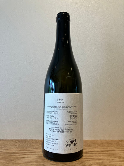 von der Vogelwaide Kane Grade Weiss 2024 / フォン・デア・フォーゲルヴァイデ カネ・グラーデ・ヴァイス