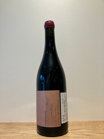 Karner Gábor Vitézeföld 2019 / カーナー・ガボー ヴィテゼフォルド