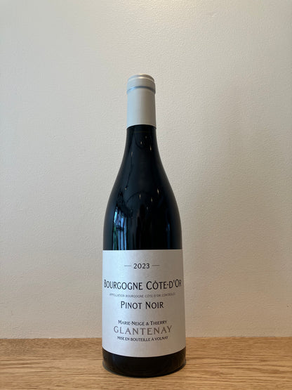 MARIE-NEIGE Thierry Glantenay Bourgogne Côte d’Or Pinot Noir 2023 / マリー＝ネージュ ティエリー・グラントネィ ブルゴーニュ コート・ドール ピノ・ノワール
