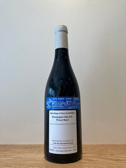 MARIE-NEIGE Thierry Glantenay Bourgogne Côte d’Or Pinot Noir 2023 / マリー＝ネージュ ティエリー・グラントネィ ブルゴーニュ コート・ドール ピノ・ノワール