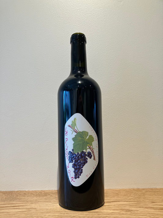 Les Cailloux du Paradis Le Pinot Noir 2023 / レ・カイユ・デュ・パラディ ル・ピノ・ノワール