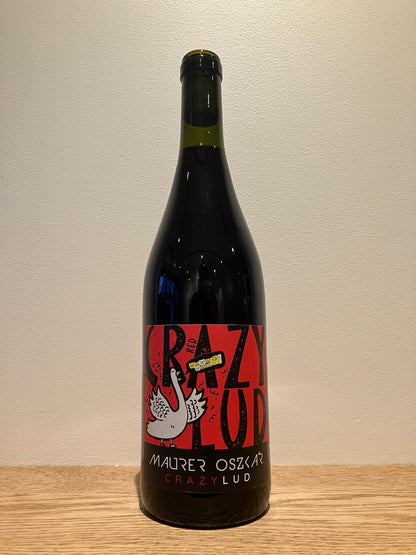 Maurer Oszkár Crazy Lud Red 2024 / マウアー・オスカル クレイジールッド レッド