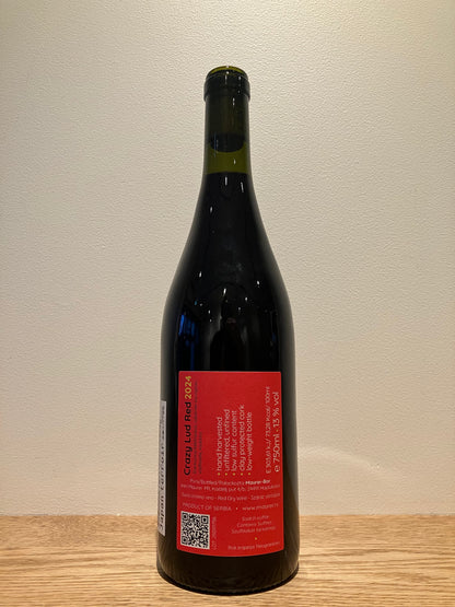 Maurer Oszkár Crazy Lud Red 2024 / マウアー・オスカル クレイジールッド レッド