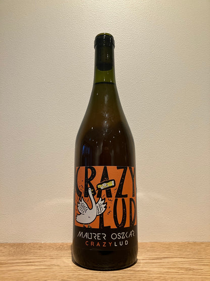 Maurer Oszkár Crazy Lud Orange 2024 / マウアー・オスカル クレイジールッド オレンジ
