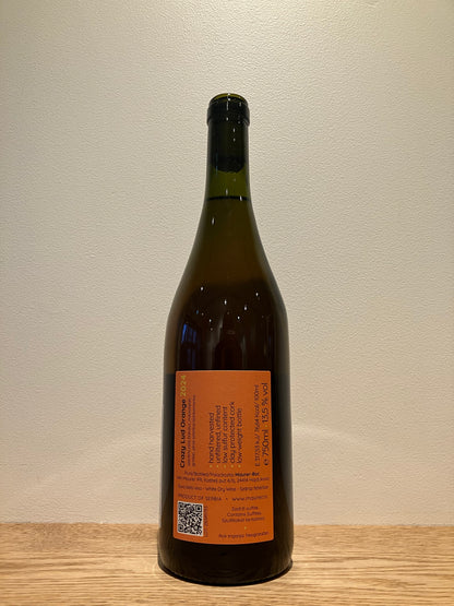 Maurer Oszkár Crazy Lud Orange 2024 / マウアー・オスカル クレイジールッド オレンジ