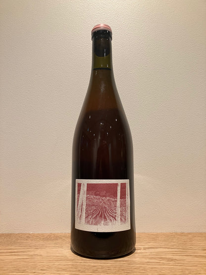 Bencze Birtok Várvölgy Pinot Gris impromptu no.1 2022 / ベンツェ・ビルトック ヴァールヴルジ ピノグリ 即興曲