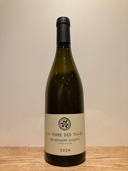 La Terre des Tilles Bourgogne Aligote 2024 / ラ・テール・デ・ティーユ ブルゴーニュ・アリゴテ