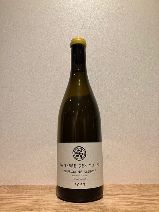 La Terre des Tilles Bourgogne Aligote Echevronne 2023 / ラ・テール・デ・ティーユ ブルゴーニュ・アリゴテ・エシュヴロン
