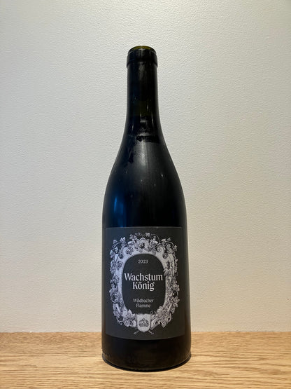 Wachstum König Wildbacher Flamme 2023 / ヴァクストゥム・クーニヒ ヴィルトバッハー・フラメ