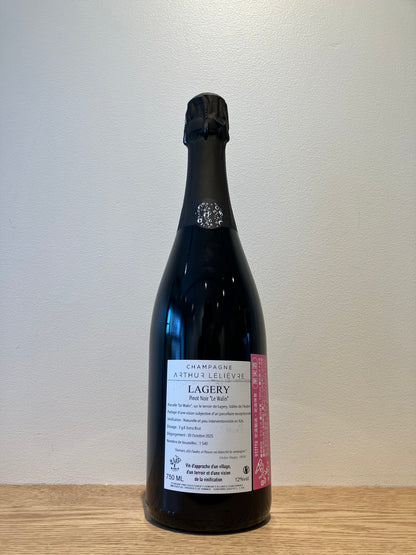 【購入条件付き】Arthur Lelievre Lagery Le Walin NV (V23) / アルチュール・ルリエーブル ラジュリー ル・ワラン
