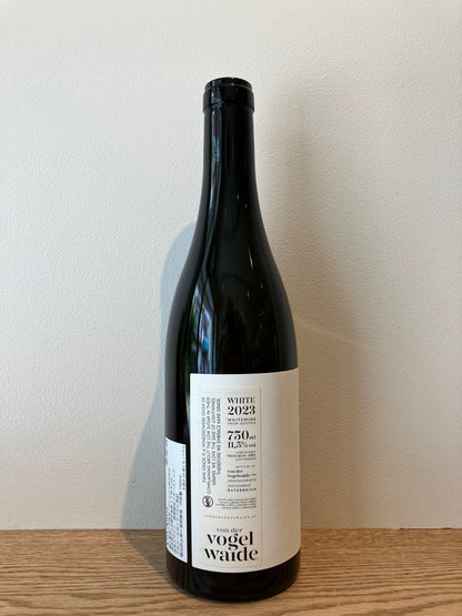 von der Vogelwaide Kane Grade Weiss 2023 / フォン・デア・フォーゲルヴァイデ カネ・グラーデ・ヴァイス