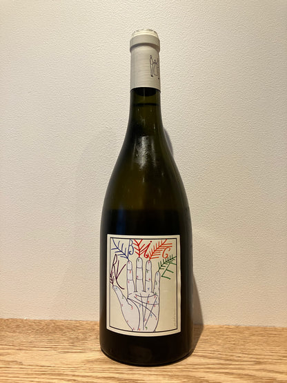 Tinessa Rubice Falanghina 2022 / ティネッサ ルビーチェ・ファランギーナ