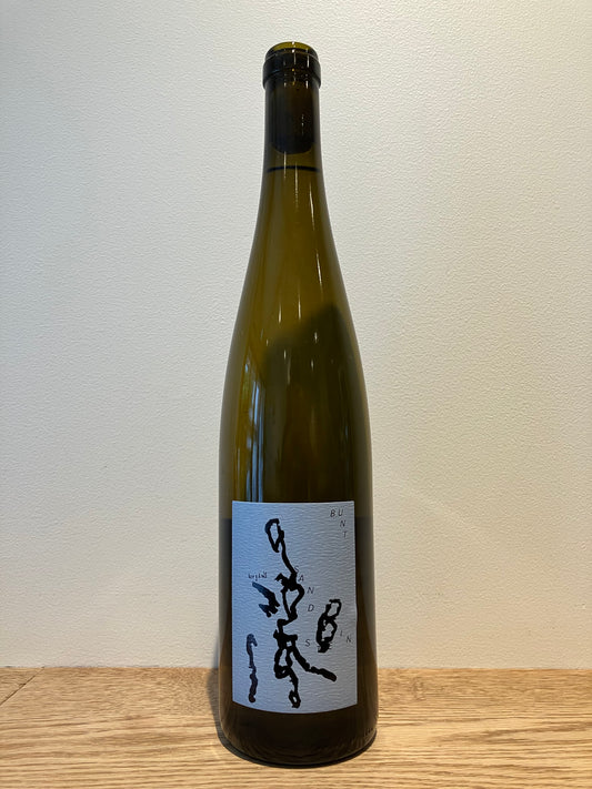 Hannes Bergdoll Riesling Buntsandstein 2022 / ハネス・ベルグドール リースリング ブンサンシュタイン