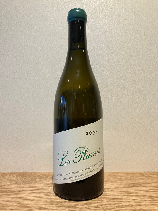 Domaine Rougeot Bourgogne Aligote Les Plumese 2022 / ドメーヌ・ルージョ ブルゴーニュ・アリゴテ　レ・プリュムス