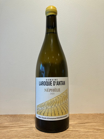 Laroque d’Antan Néphèle 2023 / ラロック・ダンタン ネフェール