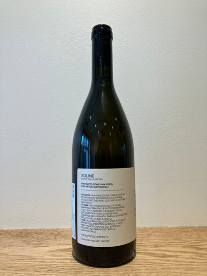 Peter Radovic Soline 2023 / ペーター・ラドヴィッチ ソリーネ
