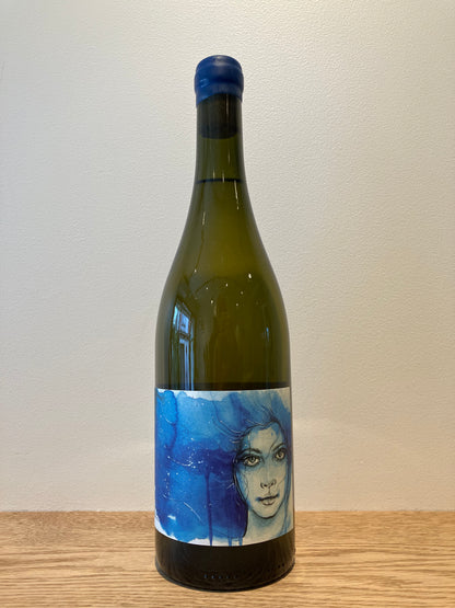 Manuel Pulcini Marròca 2024 / マヌエル・プルチーニ マロカ