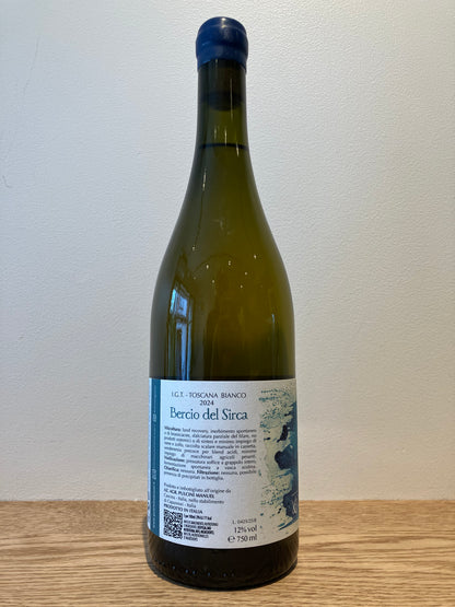 Manuel Pulcini Bercio del Sirca 2024 / マヌエル・プルチーニ ベリチオ・デル・シルカ