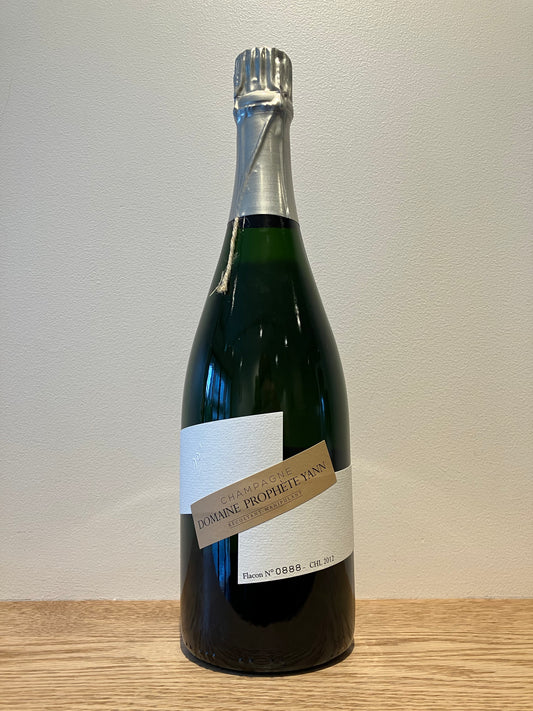 Prophete Yann CHL 2012 / プロフェット・ヤン シーエイチエル