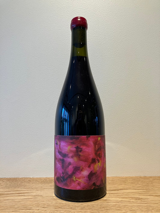 Atípico Under the Plum Tree 2024 / アティピコ アンダー・ザ・プラムツリー