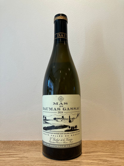 Mas de Daumas Gassac Blanc 2024 / マス・ド・ドーマス・ガサック ブラン