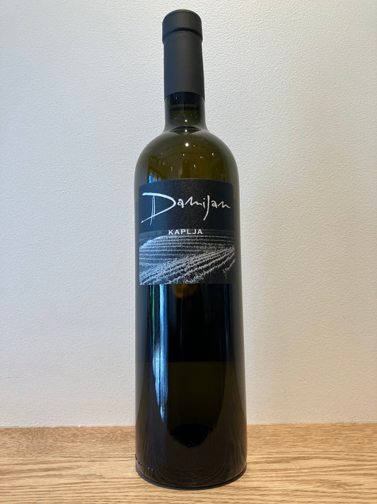 Damijan Podversic Kaplja 2020 / ダミアン・ポドヴェルシッチ カプリャ