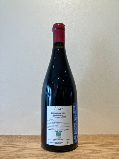 【購入条件付き】Georges Remy BOUZY ROUGE “Les Vaudayants” 2022 / ジョルジュ・レミ ブジー・ルージュ“レ・ヴォダヤン”