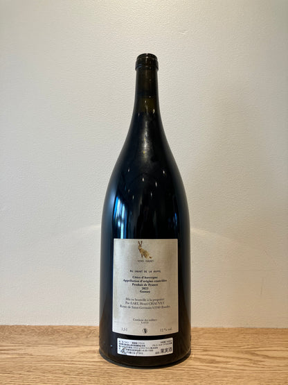 Henri Chauvet Au chant de la Huppe 2023 (Magnum) / アンリ・ショヴェ オ・ション・デ・ラ・ユップ 1,500ml